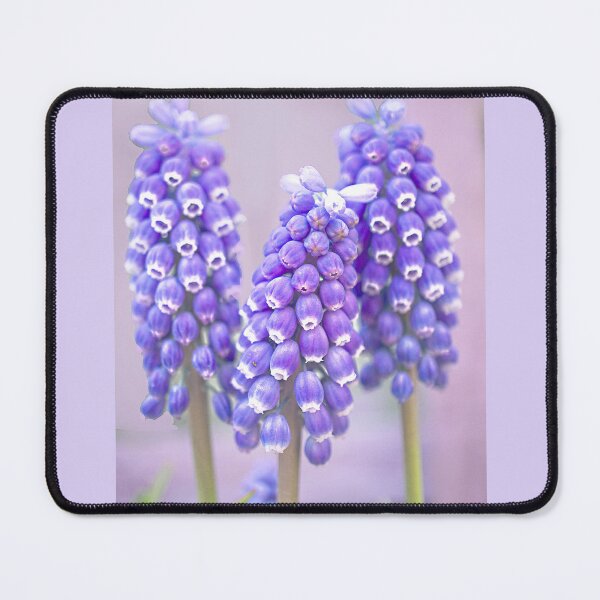 Item preview, Muscari Trio designed and sold by Alisonchambers2.