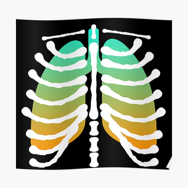 Skeleton Lungs Poster For Sale By Anymal7 Redbubble