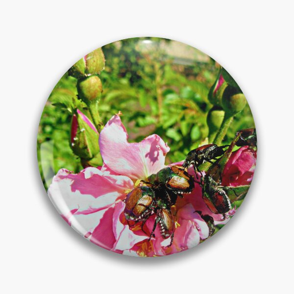 Item preview, Pink rose for lunch designed and sold by Shulie1.