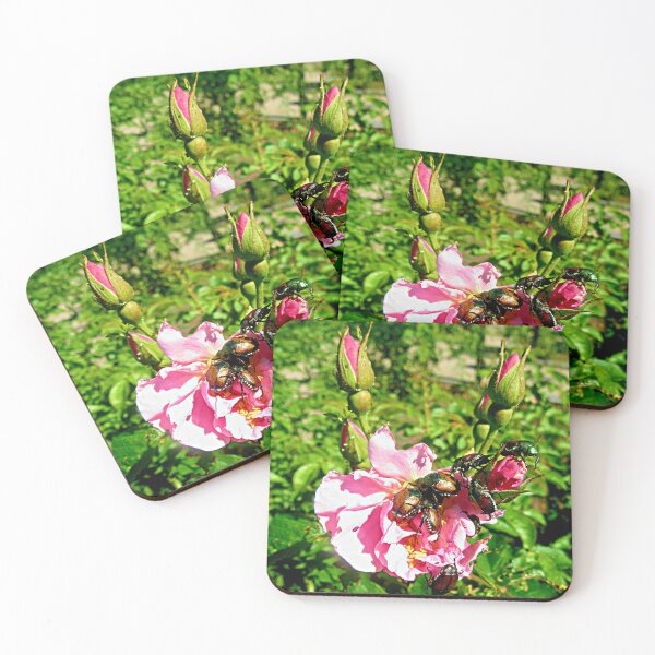 Item preview, Pink rose for lunch designed and sold by Shulie1.
