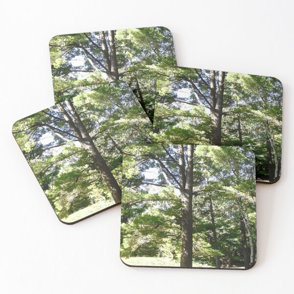 Item preview, Beautiful Trees at Lac Phillipe, Quebec designed and sold by Shulie1.