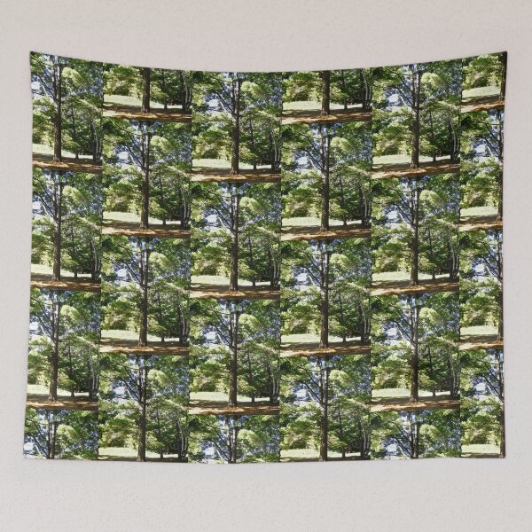 Item preview, Beautiful Trees at Lac Phillipe, Quebec designed and sold by Shulie1.