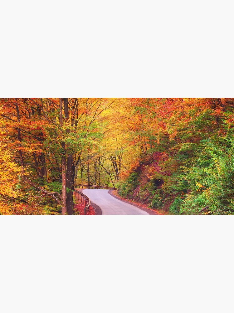 " Autumn Canadian Nature wall decor,Canada,Narure,Canada print