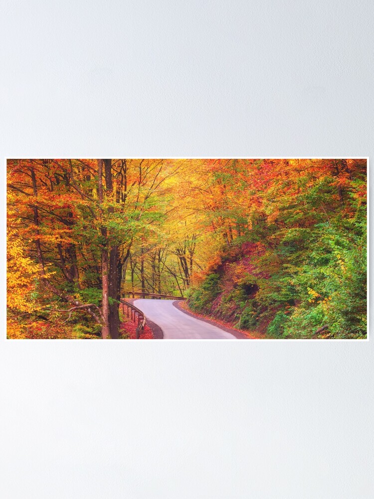 " Autumn Canadian Nature wall decor,Canada,Narure,Canada print