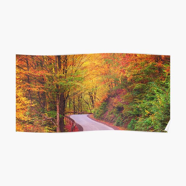 " Autumn Canadian Nature wall decor,Canada,Narure,Canada print