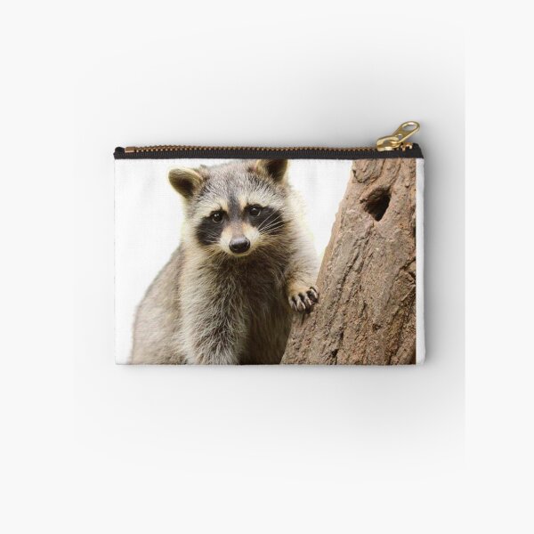 Item preview, Cute racoon in nature  designed and sold by Racoonzz.