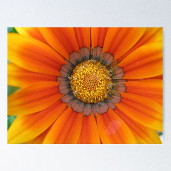 Item preview, Blanket Flower designed and sold by Art Monkey Studio.