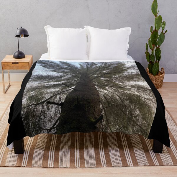 Item preview, De pie al pie de un árbol mirando hacia arriba - Bosques y bosques - WildSwimming designed and sold by WildSwimming.
