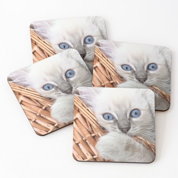 Item preview, Copy of Lynx ragdoll kitten designed and sold by Fluffycat2020.