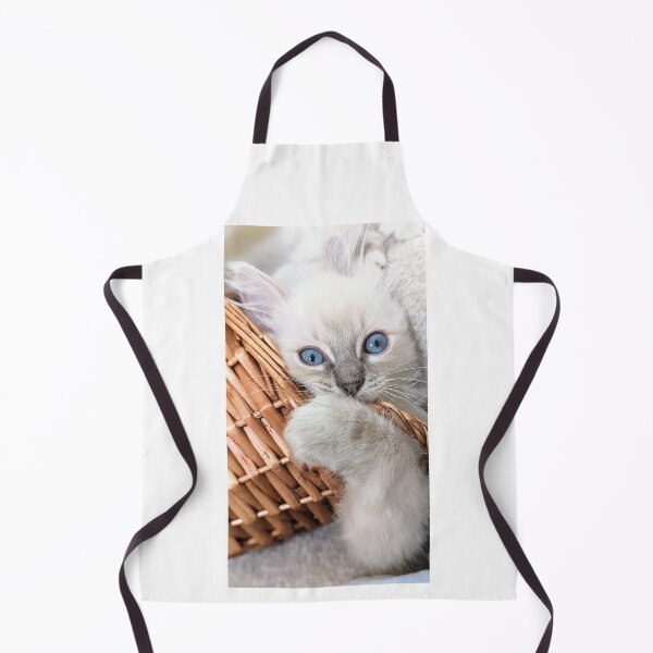 Item preview, Copy of Lynx ragdoll kitten designed and sold by Fluffycat2020.