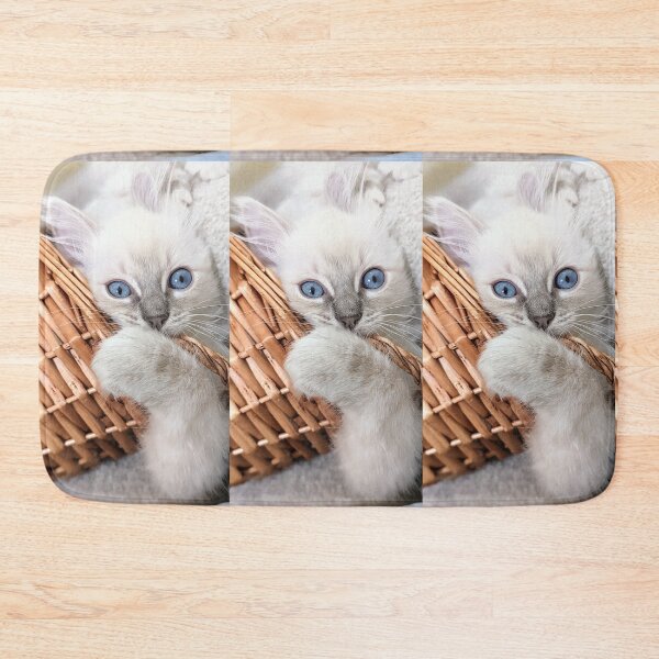 Item preview, Copy of Lynx ragdoll kitten designed and sold by Fluffycat2020.
