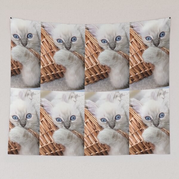 Item preview, Copy of Lynx ragdoll kitten designed and sold by Fluffycat2020.