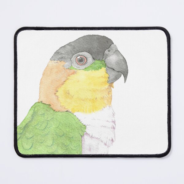 Item preview, black head caique parrot portrait watercolor painting tropical pet designed and sold by L'Atelier Oranjade.