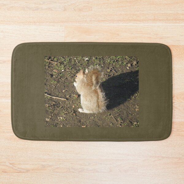 Item preview, Grey Squirrel Turns its back Photograph designed and sold by naturegallery.