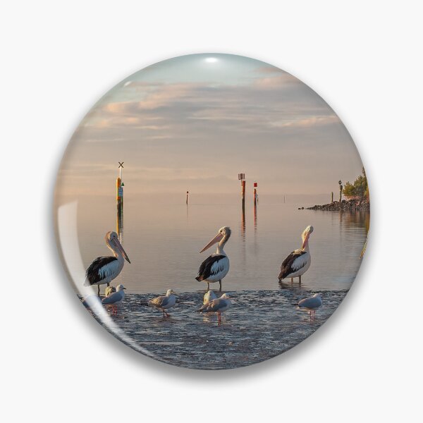 Item preview, Pelicans in a Row designed and sold by GaryParnell.