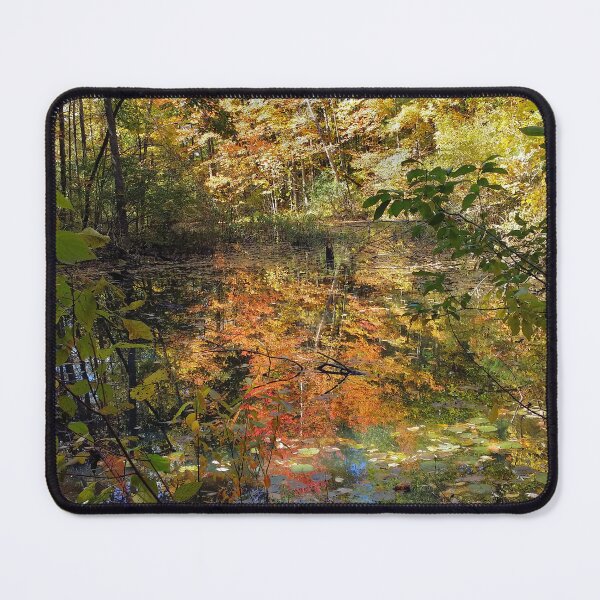 Item preview, Fall Trees designed and sold by KWAPhoto.