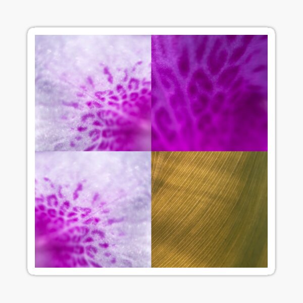 Azalea Petal Color Block Violet and Brown Sticker