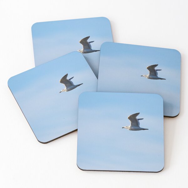 Item preview, Whwn the sky iis blue. European herring gull designed and sold by Jouko Lehto Photography.