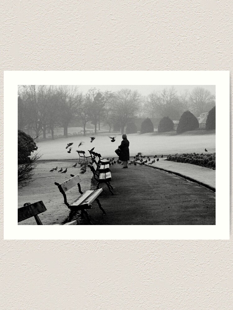 Alternate view of Shy woman feeding pigeons Art Print