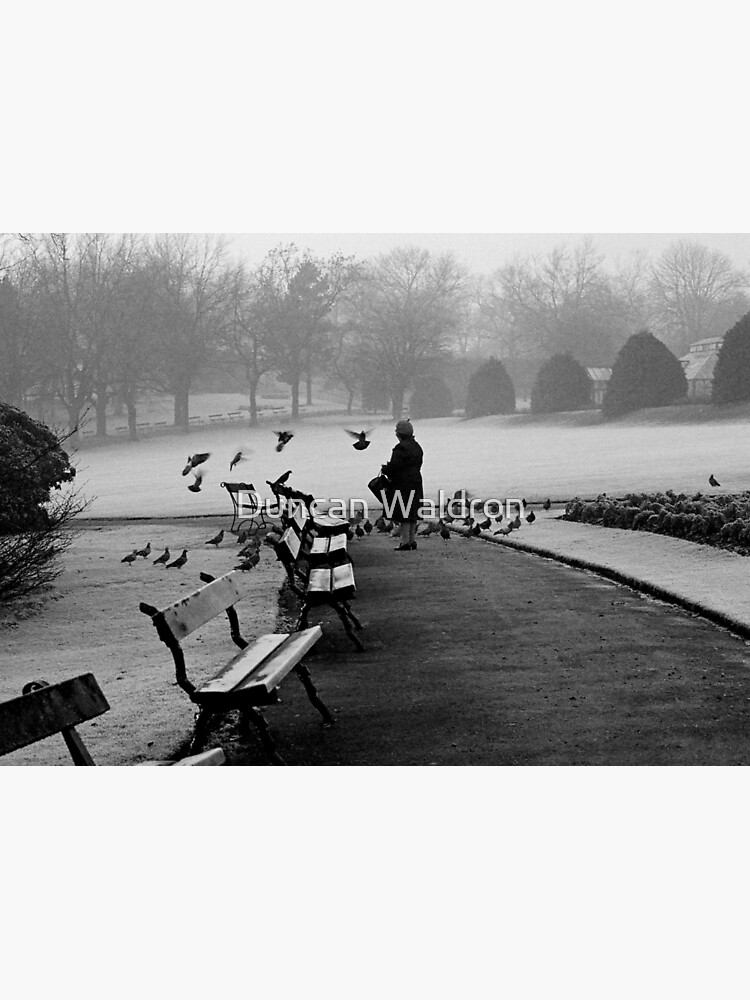 Shy woman feeding pigeons by DuncanW