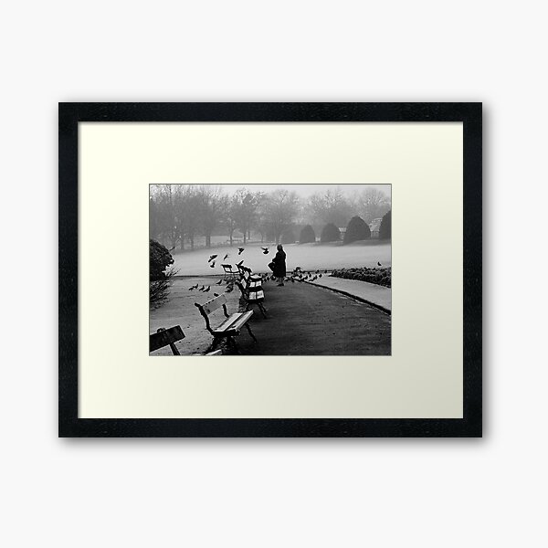 Shy woman feeding pigeons Framed Art Print