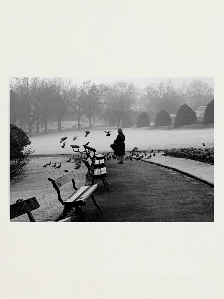 Alternate view of Shy woman feeding pigeons Photographic Print