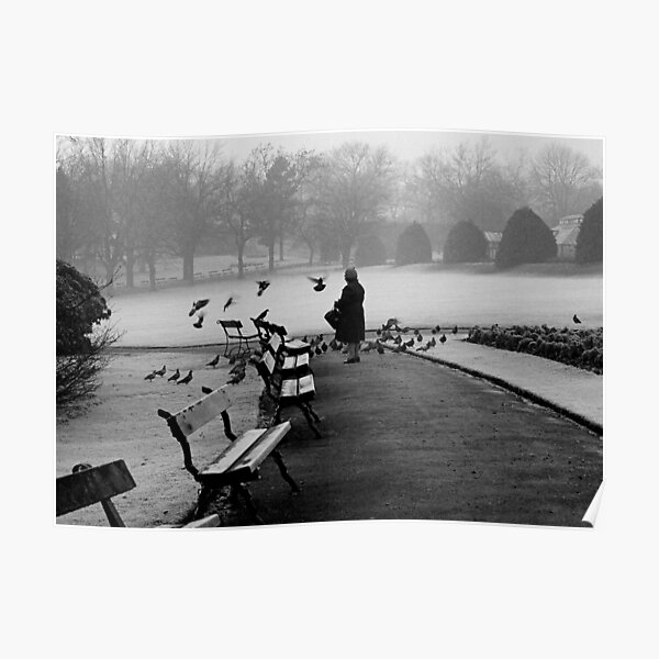 Shy woman feeding pigeons Poster