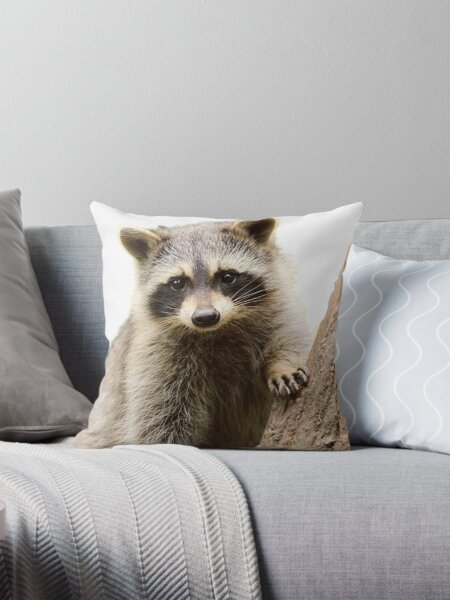 Item preview, Cute racoon in nature  designed and sold by Racoonzz.