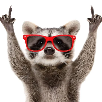 Artwork thumbnail, Cool Raccoon by Racoonzz