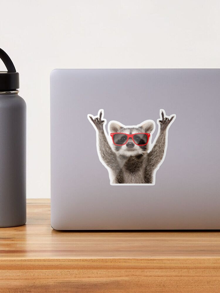 Clean-Up Aisle 12 Raccoon Sticker – FlynHats