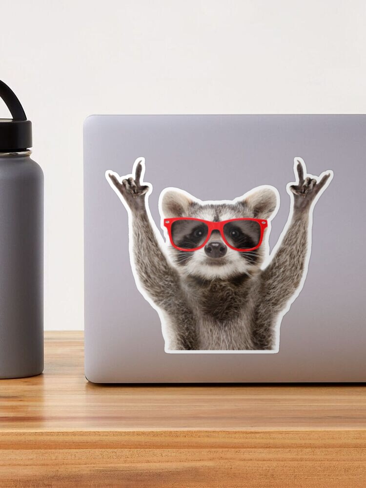 Silly Raccoons Matte Vinyl Stickers: Smooth Brain and Confused Waterproof  Laptop Hydroflask Journal Sketchbook Cute No Thoughts 