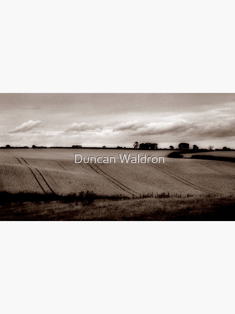 Ripening harvest by DuncanW