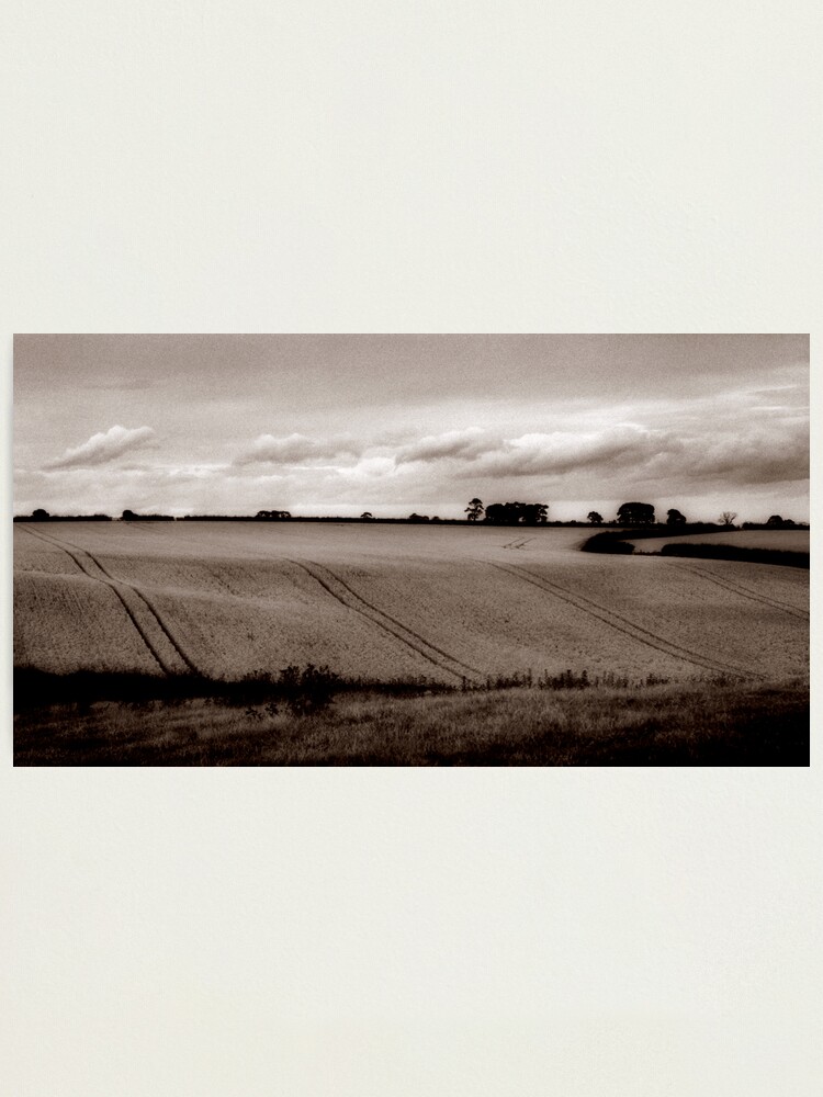 Alternate view of Ripening harvest Photographic Print