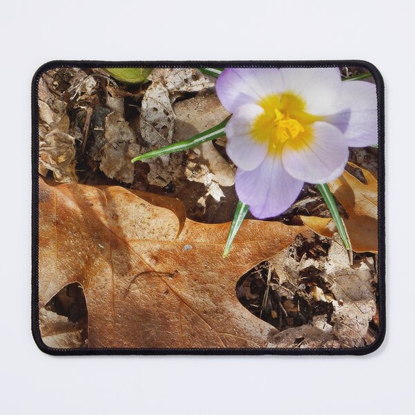Item preview, Spring Awakens in the Forest designed and sold by Claude Johnson.