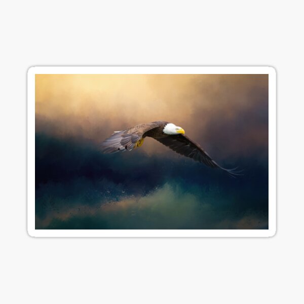 Painting flying american bald eagle Sticker
