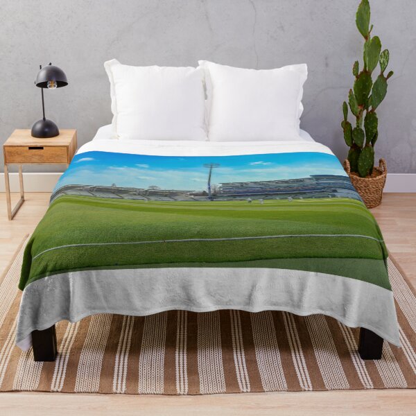 Item preview, Edgsbaston Cricket Ground Panorama designed and sold by kwn1804.