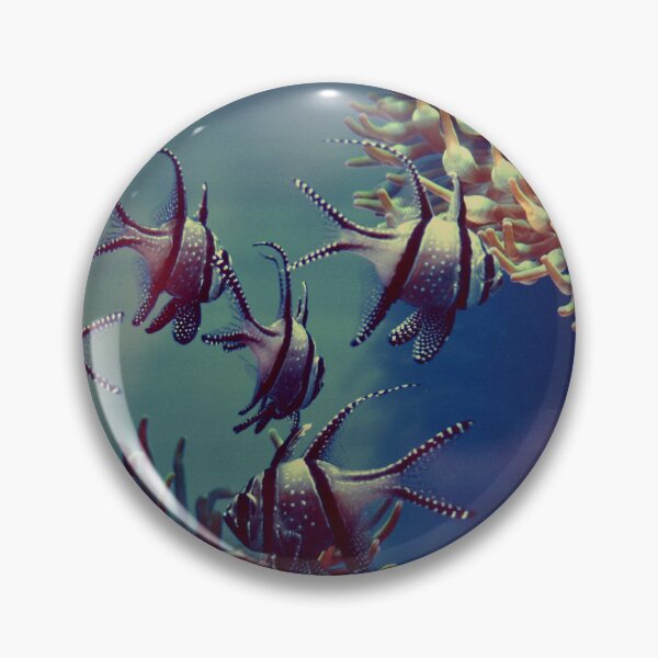 Item preview, Swimming banggai cardinalfish designed and sold by papajimmy.