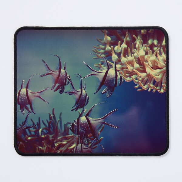 Item preview, Swimming banggai cardinalfish designed and sold by papajimmy.