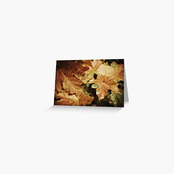 Fellowship of the leaf Greeting Card