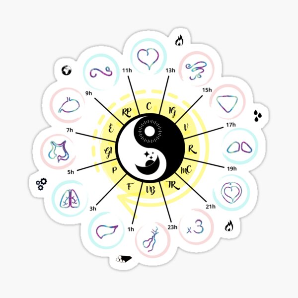 Circadian clock of TCM meridians Sticker