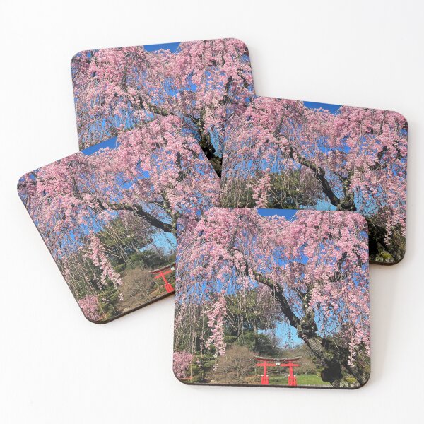 Item preview, Weeping Higan Cherry Blossoms, Brooklyn Botanical Gardens, NYC designed and sold by ExploreOutdoors.