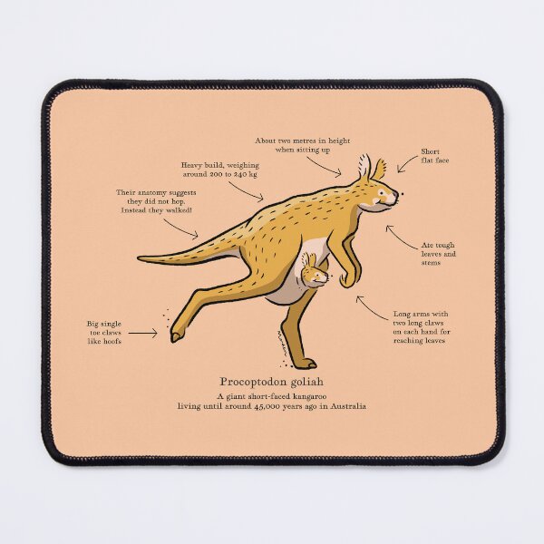 Item preview, Procoptodon goliah the prehistoric giant kangaroo designed and sold by Richard Morden.