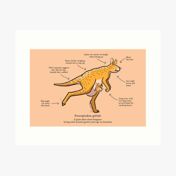 Item preview, Procoptodon goliah the prehistoric giant kangaroo designed and sold by Richard Morden.