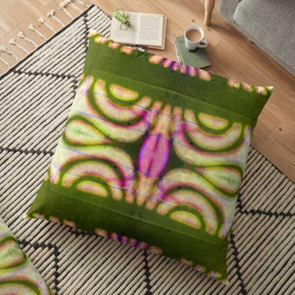Deviation in Pink and Green by Adelaide Artist Avril Thomas Floor Pillow