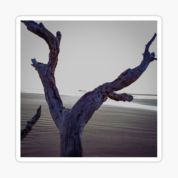 Item preview, Driftwood Reaching designed and sold by Craig Kauzmann.