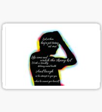 Bo Burnham - Cant Handle This Sticker