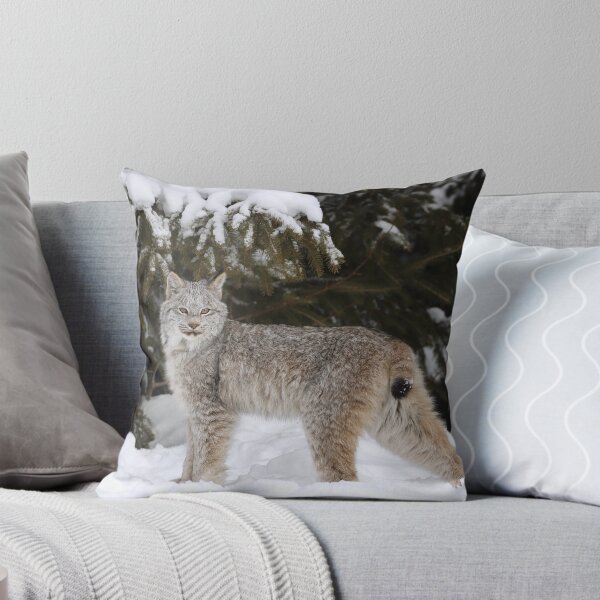Item preview, Canada Lynx Kitten designed and sold by mlorenz.