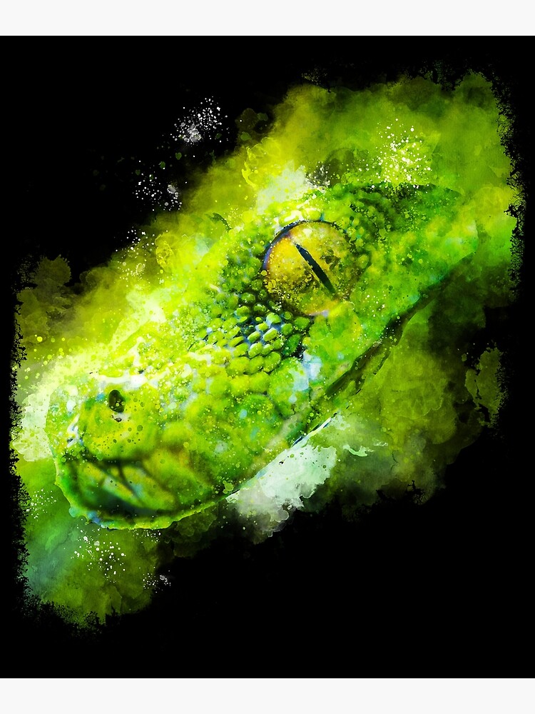 "Green Tree Python Watercolor" Poster for Sale by KemeDesign | Redbubble