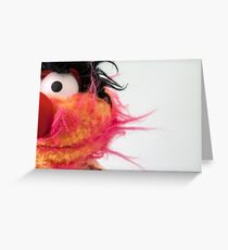 Animal Greeting Card