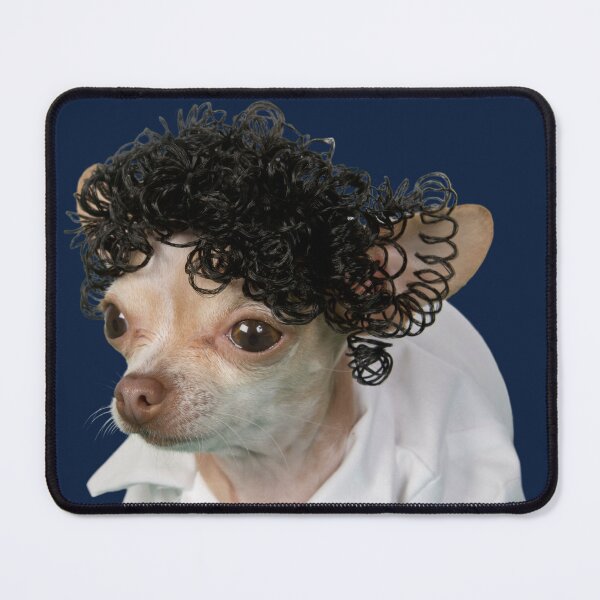 Item preview, a little chihuahua wearing a curly wig designed and sold by DeepJo.